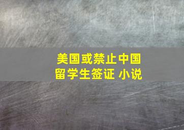 美国或禁止中国留学生签证 小说